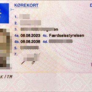 Buy Denmark Driving License