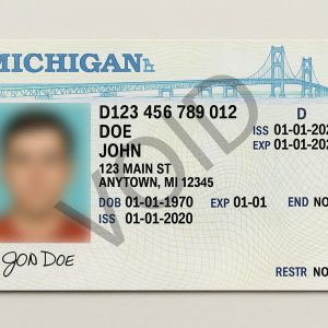 Buy Michigan Driver’s License and ID Card