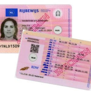 Buy Netherlands driving license Online