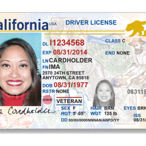 Buy Real US Driver’s License Online