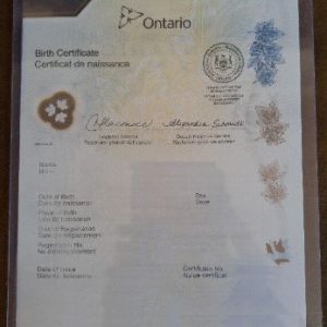 Buy Canadian Birth Certificate