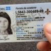 Buy Canadian Driving License Online