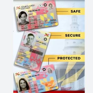 Buy Maryland Driver’s License and ID Card
