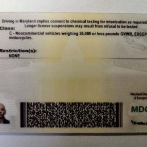 Buy Maryland Driver’s License and ID Card