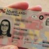 Buy Maryland Driver’s License and ID Card