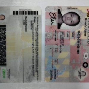 Buy Maryland Driver’s License and ID Card