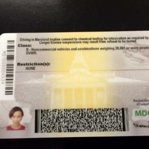 Buy Maryland Driver’s License and ID Card