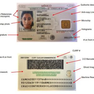 Buy Mexico ID Card