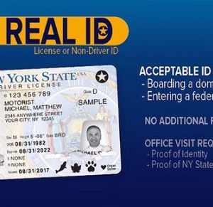 Buy New York Driver’s License and ID Card