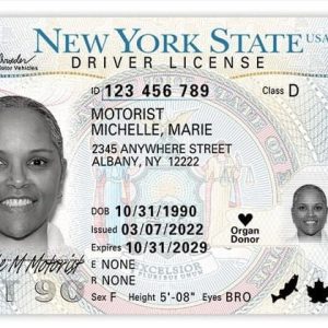 Buy New York Driver’s License and ID Card