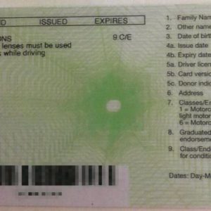 New Zealand Driver's License