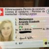 Buy Real Swiss Driver’s License Online