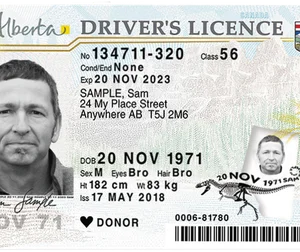Buy Alberta Driving License and ID Card