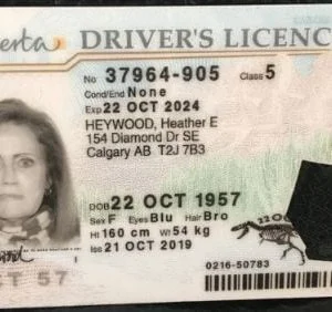 Buy Authentic Alberta Driving License