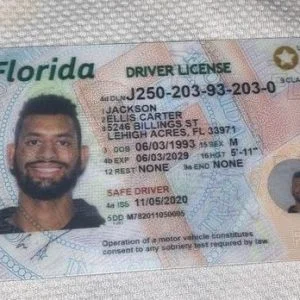 Buy Florida Driver’s License and ID Card