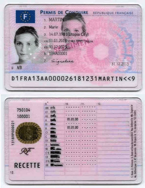 Buy France Driver's License