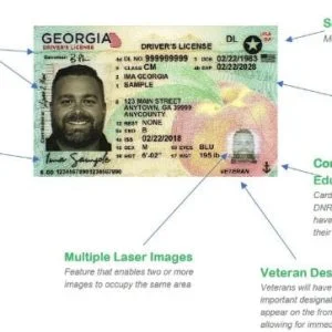 Buy Georgia Driver’s License and ID Card