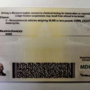 Buy Maryland Driver’s License and ID Card