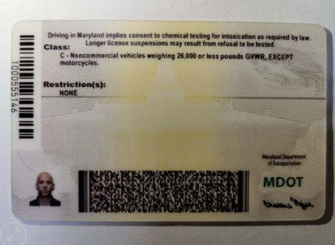 Buy Maryland Driver’s License and ID Card