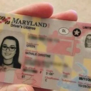 Buy authentic Maryland Driver’s License 2025