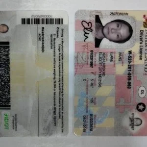 Buy Maryland Driver’s License and ID Card