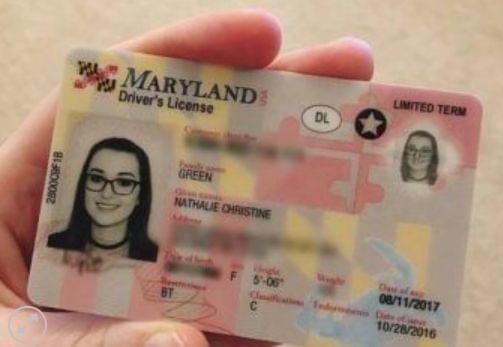 Buy authentic Maryland Driver’s License 2025