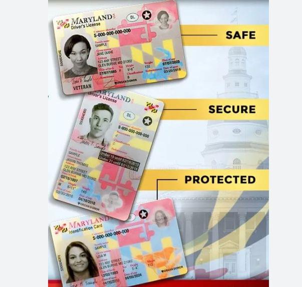 Buy Maryland Driver’s License and ID Card