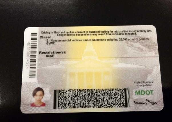 Buy Maryland Driver’s License and ID Card