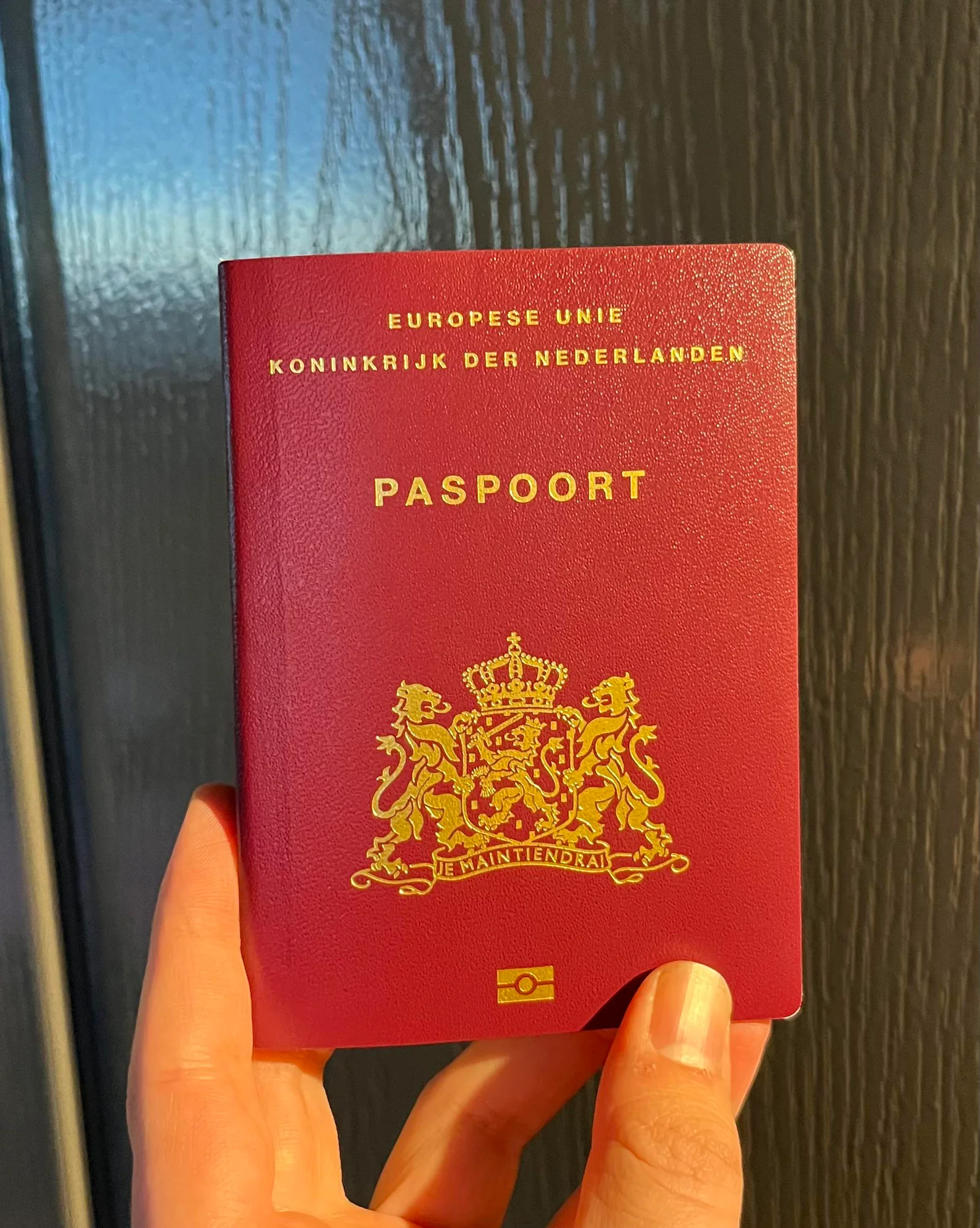 Authentic Netherlands Passport Online